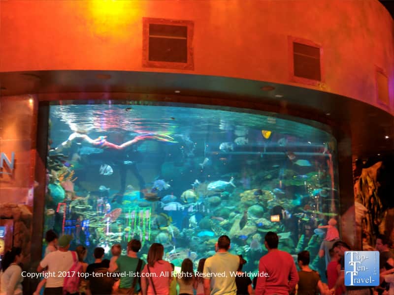 Mermaid show at the Silverton Aquarium in Las Vegas