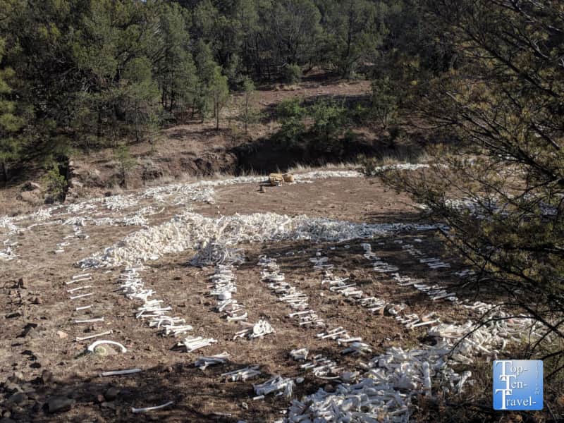 1 million bones exhibit at the Bear Mountain Lodge in Silver City, New Mexico