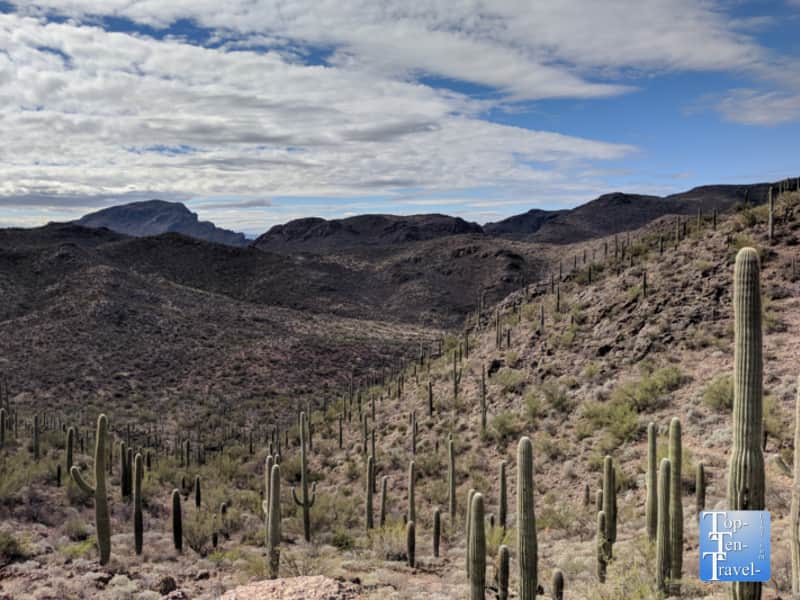 Bowen Hidden Canyon trail at the JW Marriott Starr Pass Resort in Tucson, Arizona 