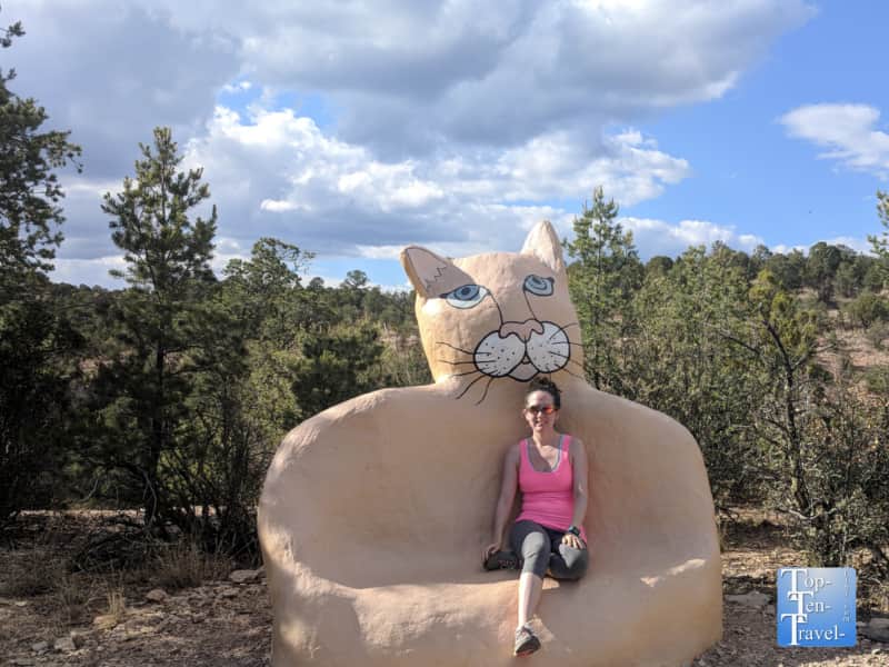 Cat art sculpture at the Bear Mountain Lodge in Silver City, New Mexico