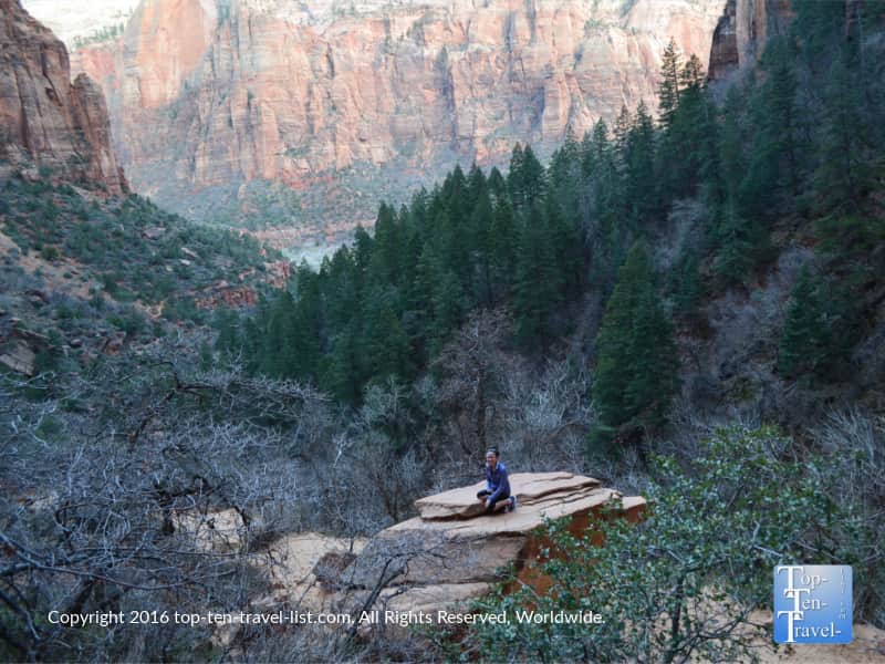 Gorgeous scenery along the Emerald Pools trail at Zion National Park in Utah