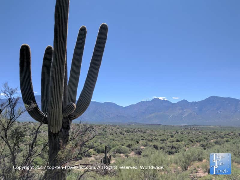 The beautiful Honeybee Canyon trail in Oro Valley, Arizona 