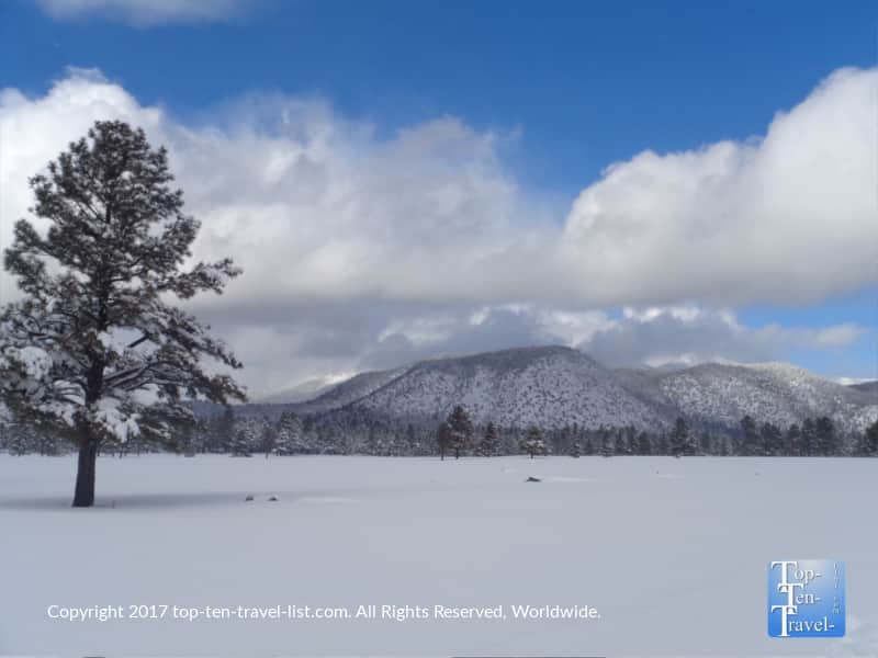 Beautiful scenery after a winter storm at Buffalo Park in Flagstaff, Arizona 