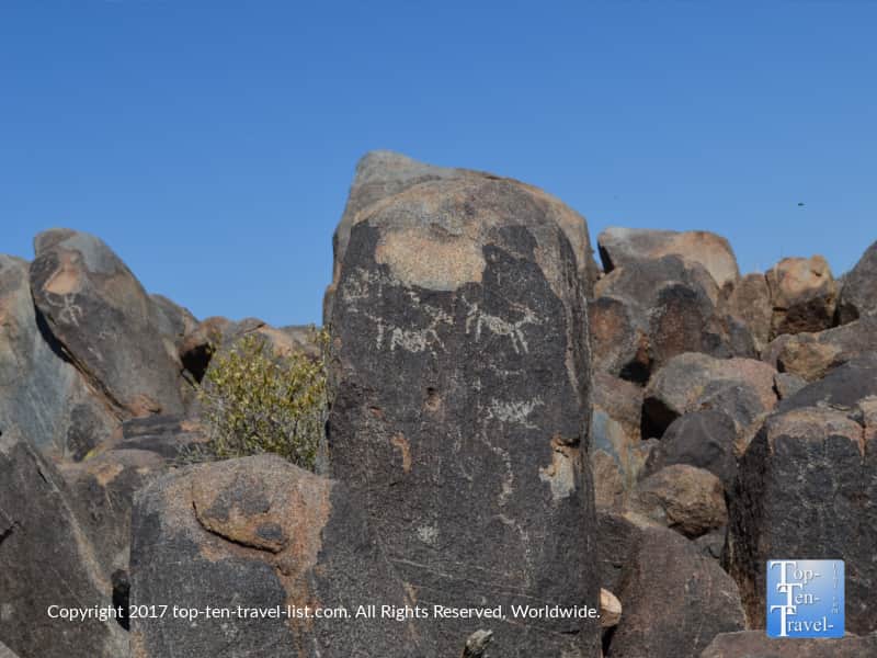 Ancient pictographs at Saguaro National Park in Tucson, Arizona
