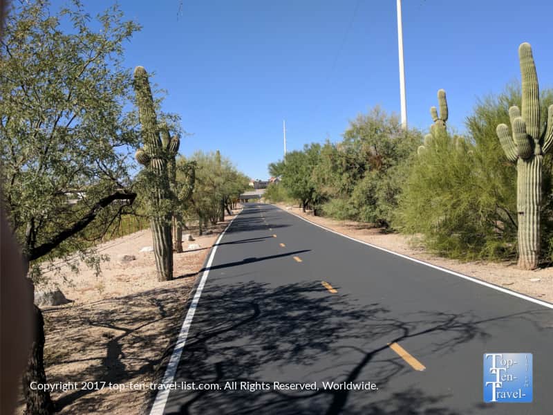 The Rillito River bike path in Tucson, Arizona