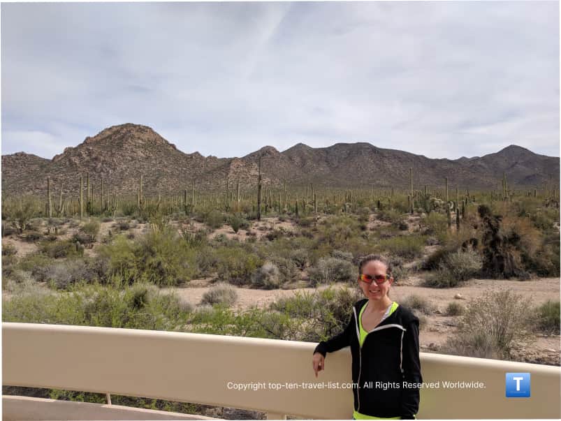 Visitor center cacti views at Saguaro National Park