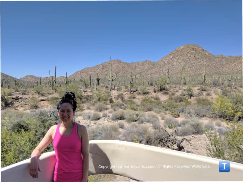 Cacti overlook at Saguaro National Park Tucson Mountain District