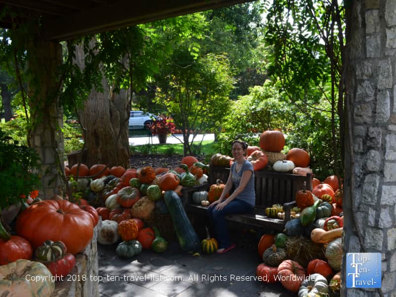 Pumpkin photo opp at the Dallas Arboretum 