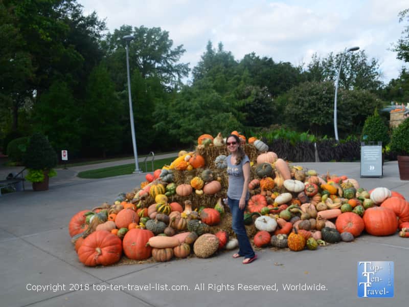 Fall photo opp at the Dallas Arboretum 