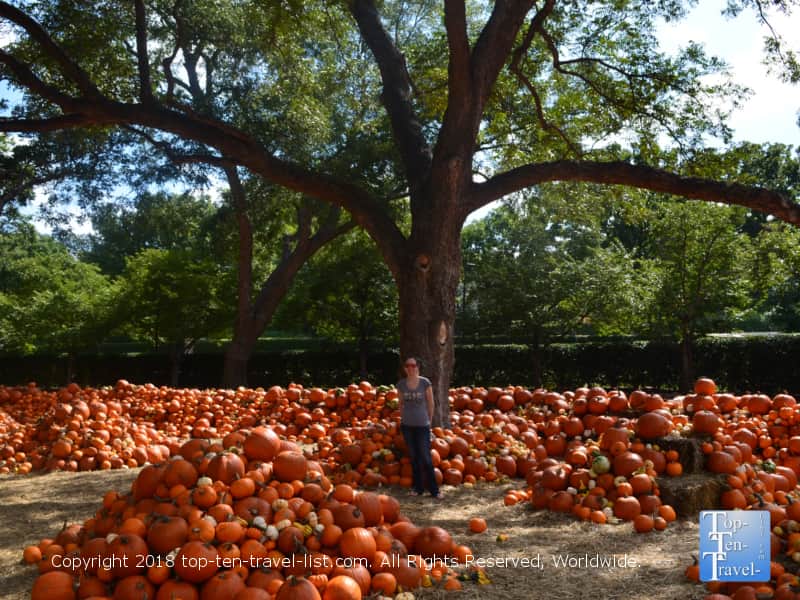 Pumpkin festival at the Dallas Arboretum 
