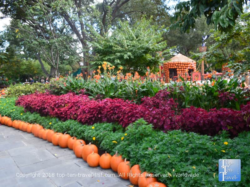 View of colorful plants along The Paseo at the Dallas Arboretum