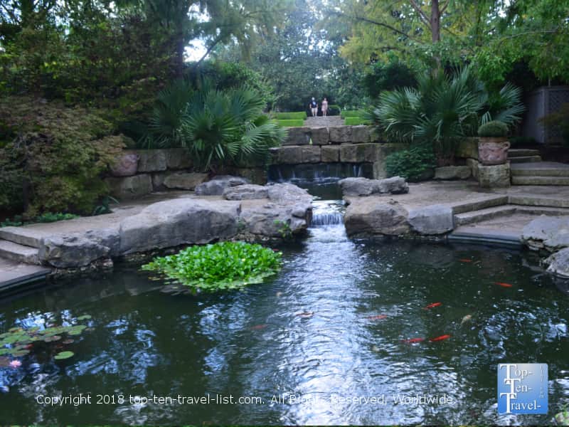Koi pond at the Dallas Arboretum
