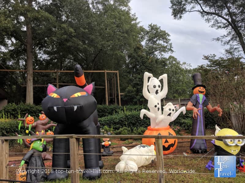 Boo at the Zoo - Greenville, South Carolina