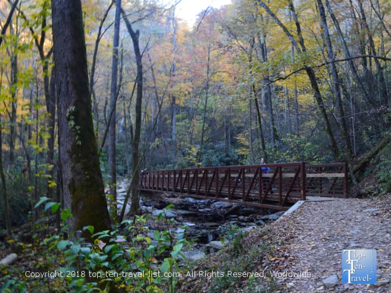 Hiking the beautiful Catawba falls trail in North Carolina 