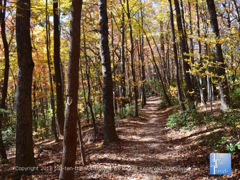 Leaf peeping along the Raven Cliff waterfall trail at Caesars Head State Park 