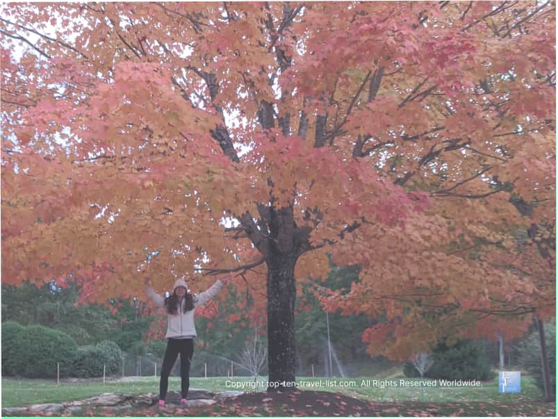 Leaf peeping at the North Carolina Arboretum in Flagstaff