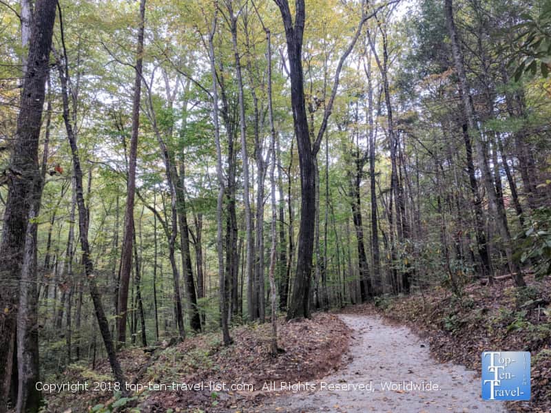 Woodsy views along the Tom's Creek waterfall trail in Marion, North Carolina 