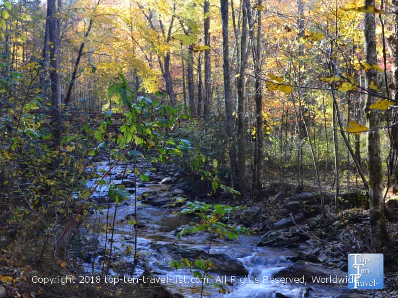 Serene creek views along the Catawba Falls trail in North Carolina 