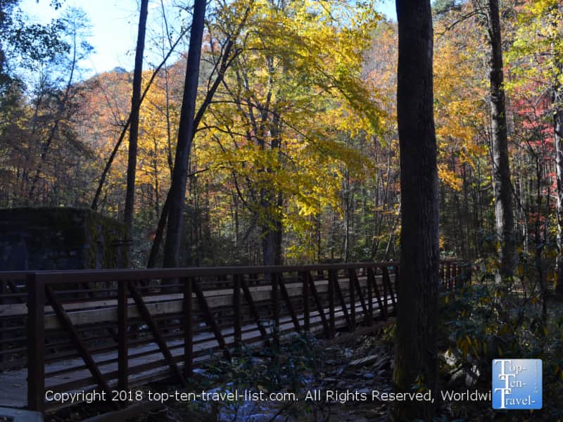 Pretty fall colors along the Catawba Falls trail in North Carolina