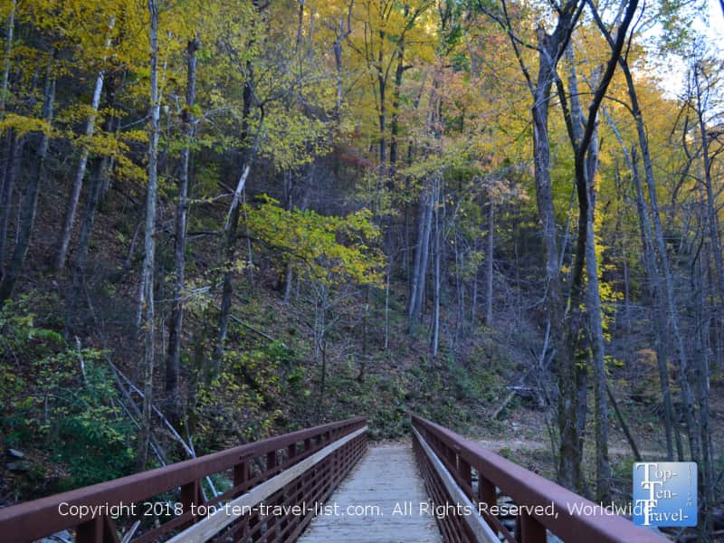 Scenic fall foliage along the Catawba falls trail in North Carolina