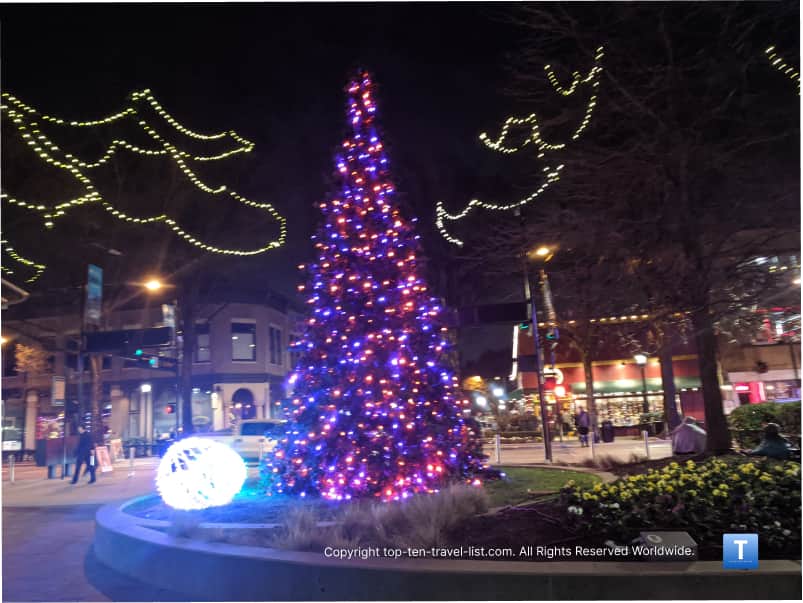 Clemson Christmas tree in Greenville, South Carolina 