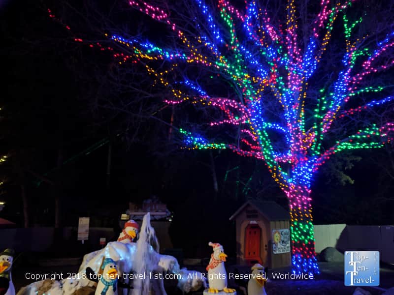 Colorful Christmas tree lights at Carowinds Winterfest
