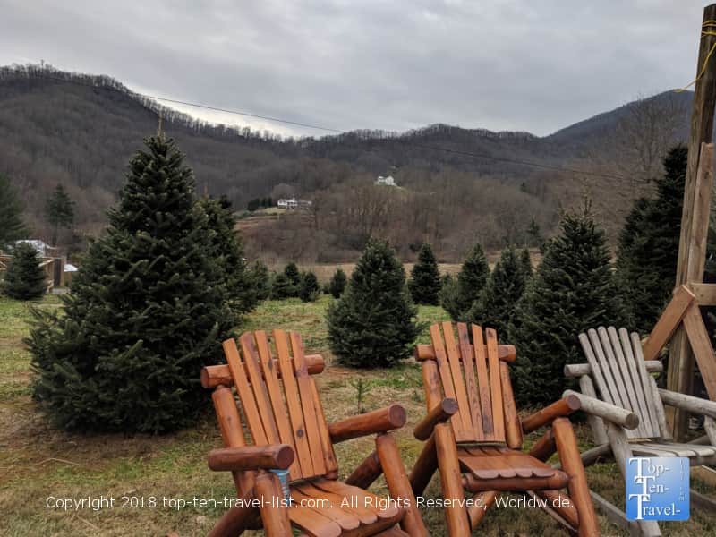 Smoky Mountain Christmas tree farm in Waynesville