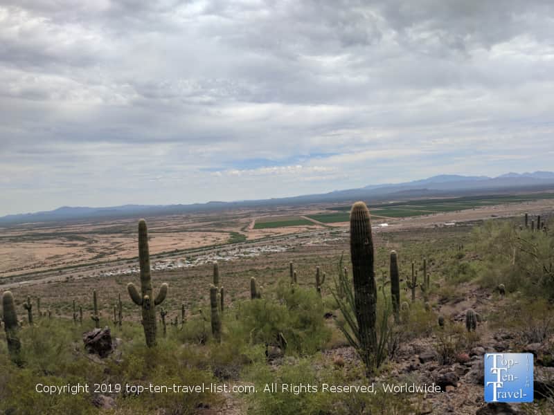 Beautiful overlook of the cacti at Picacho Peak State Park in Arizona