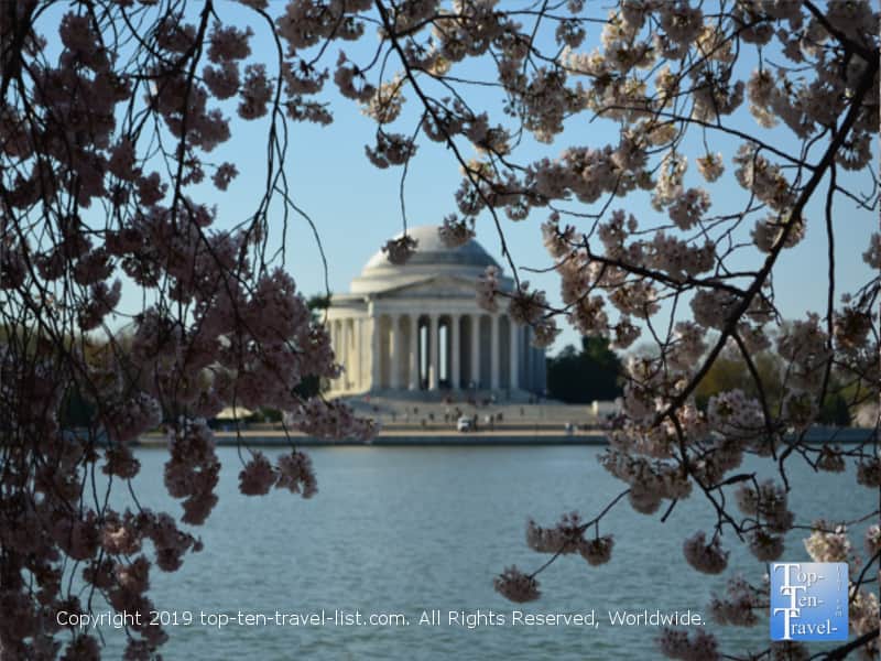 Beautiful views of the Jefferson Memorial during the spring season at Tidal Basin Park