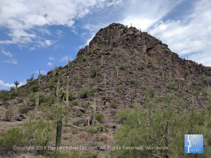 Cacti studded landscapes at Picacho Peak State Park in Arizona