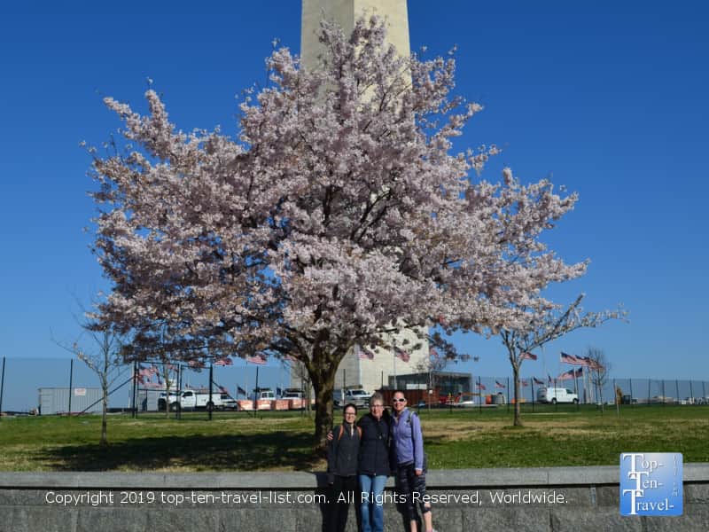 Cherry blossom photo opp in front of Washington Monument