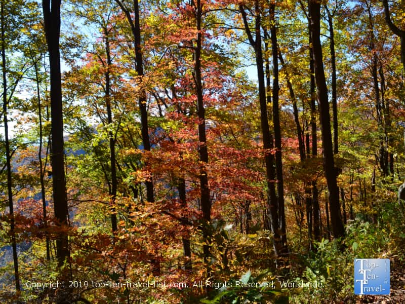Colorful fall foliage at Caesars Head State Park in Upstate SC