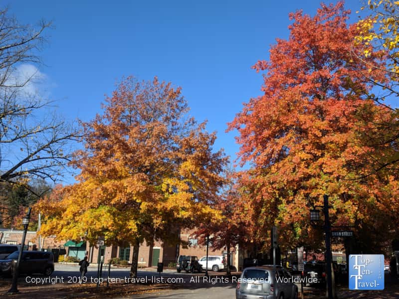 Beautiful fall colors in Asheville