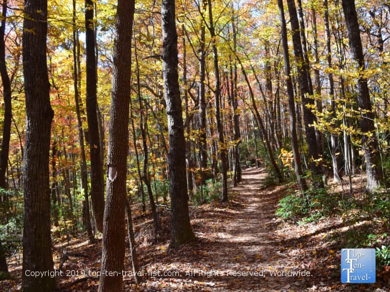Fall foliage lining the Raven Cliff falls trail at Caesars Head State Park