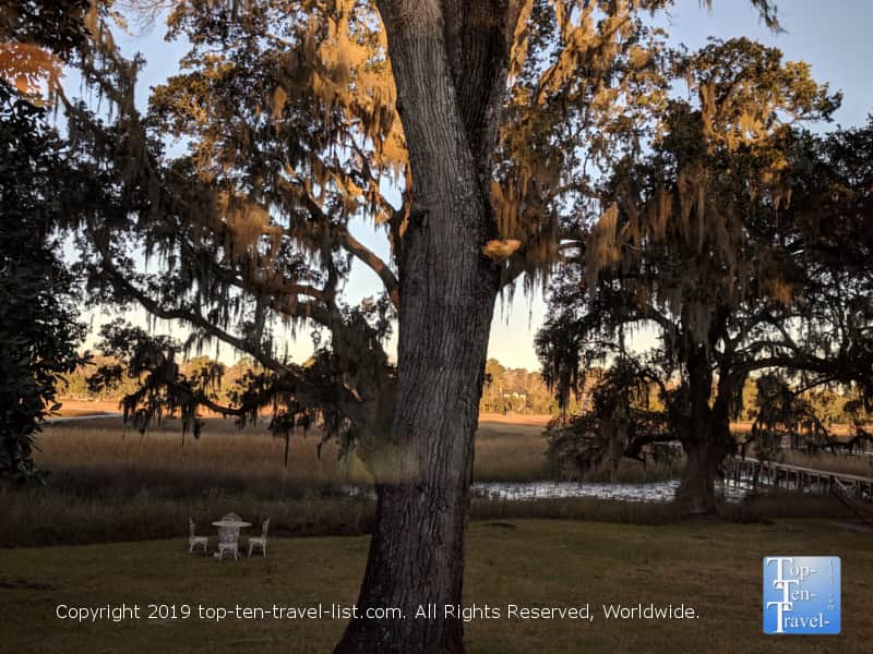 Moss trees at Plantation Oaks Inn in Charleston