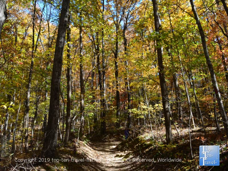 Leaf peeping at Caesars Head State Park in Upstate SC