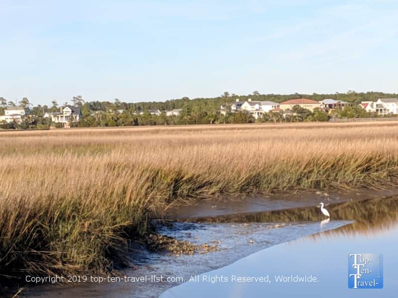 Palmetto Islands County Park in South Carolina
