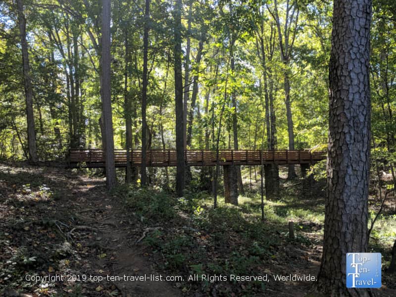 Tranquil scenery at Paris Mountain State Park