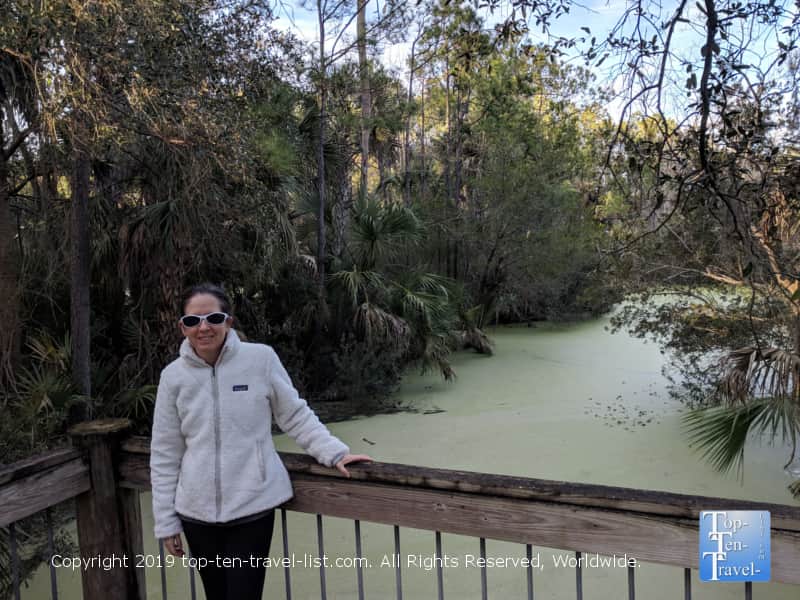 Swampy scenery at Palmetto Islands Park