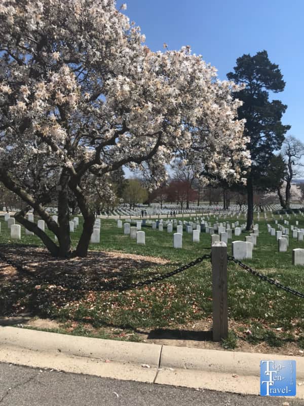 Arlington National Cemetery