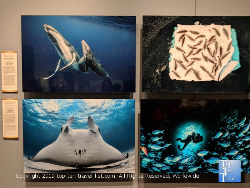 Nature photography at the Smithsonian in D.C.