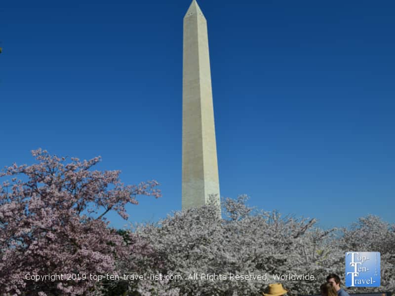 Washington Monument in D.C.