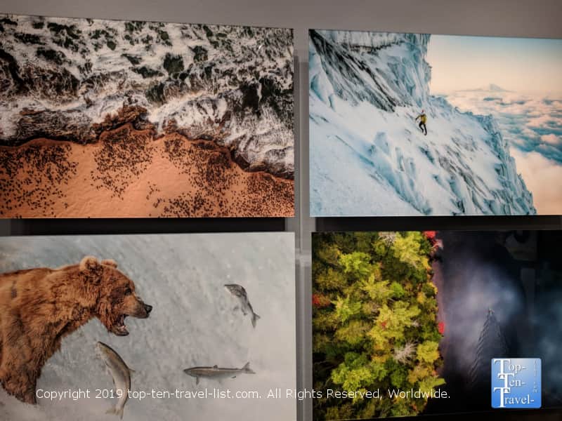 Gorgeous nature photography at the Smithsonian