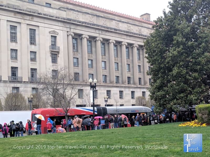 Line at the National Archives building in D.C.