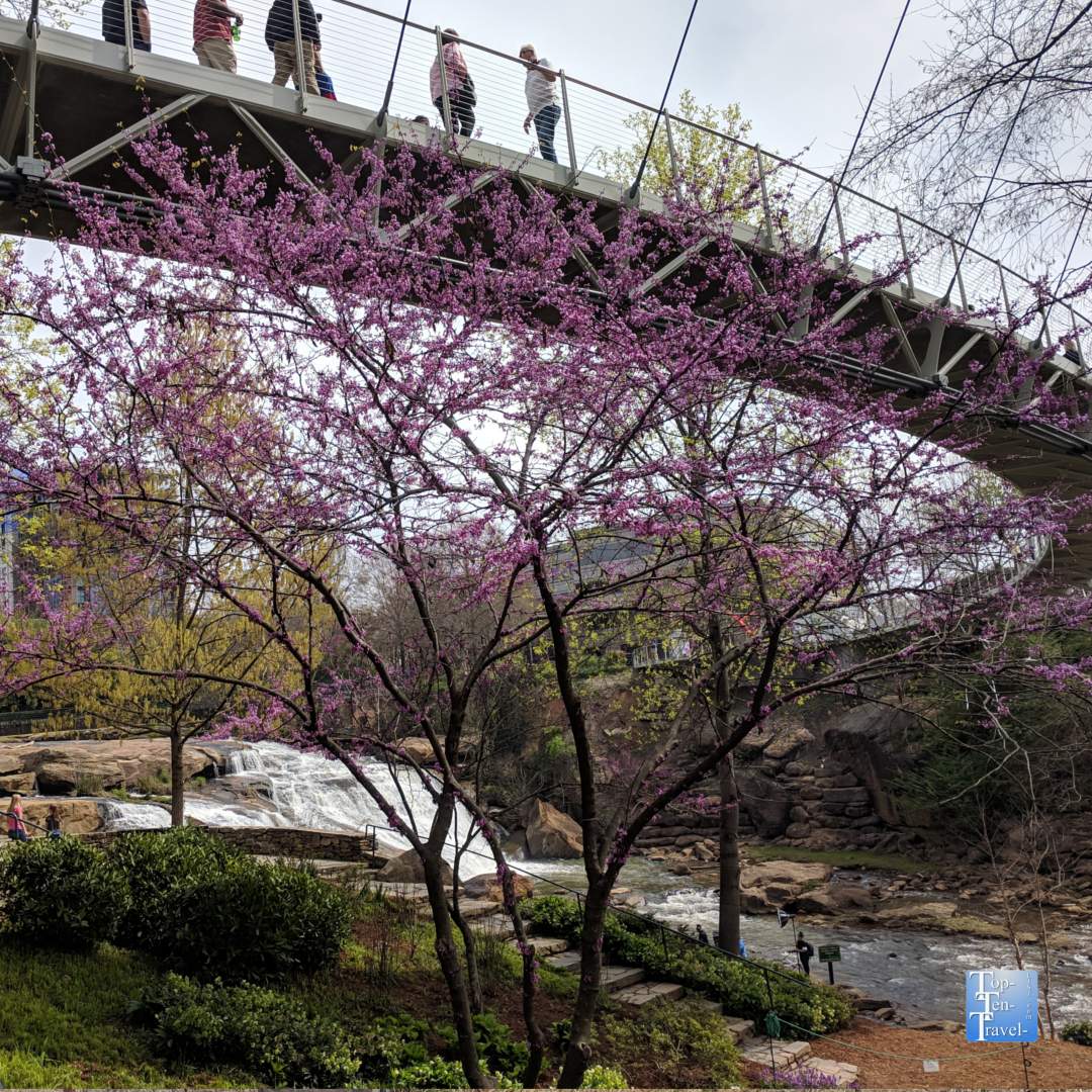Beautiful Liberty Bridge in Greenville, SC