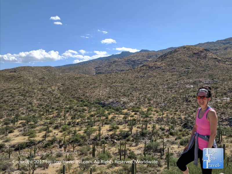 Saguaro National Park in Tucson, Arizona