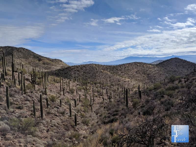 The Bowen Hidden canon trail in Tucson
