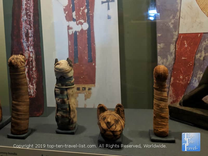 Cat mummy at Smithsonian