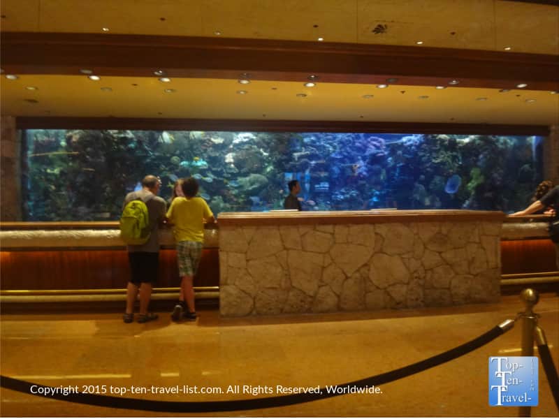 Vegas Vacation filming location - The Mirage aquarium in Las Vegas