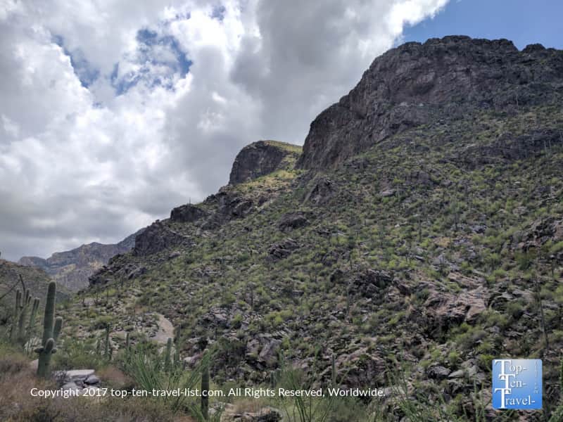 Summer monsoon while hiking the Pima Canyon trail in Tucson, Arizona